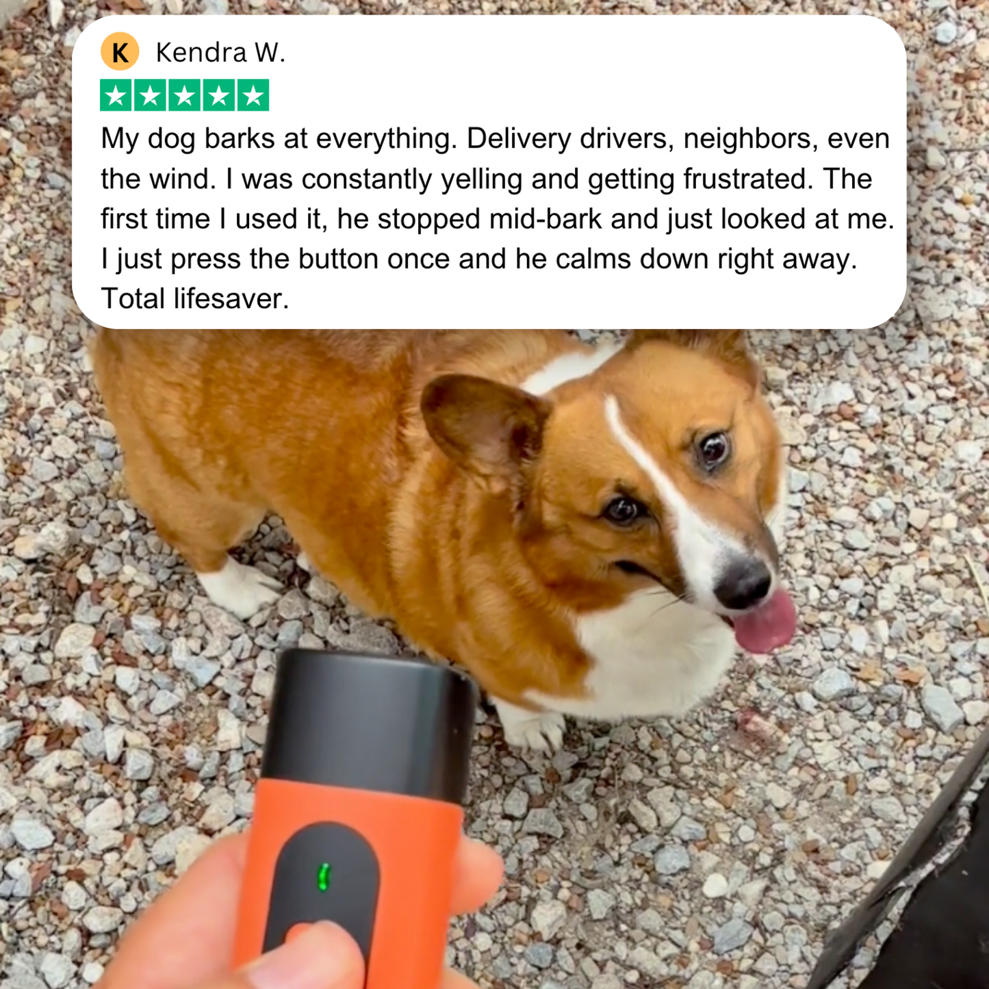 The BarkShield™ Pro ( SALE ENDS MIDNIGHT )