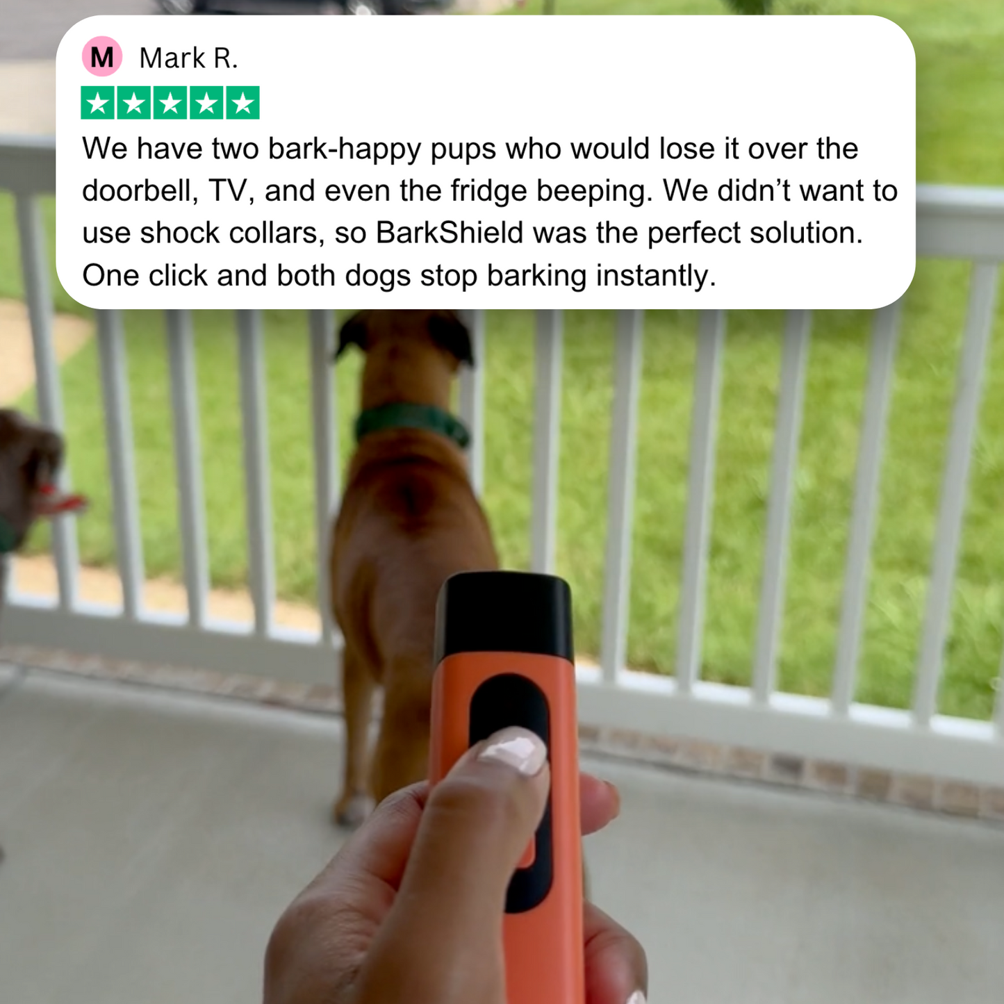 The BarkShield™ Pro ( SALE ENDS MIDNIGHT )