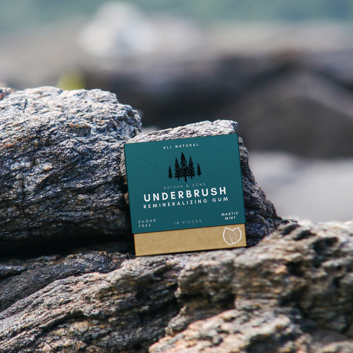 Remineralizing Gum